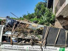 Best Dumpster Rental Services  in Gray, TN